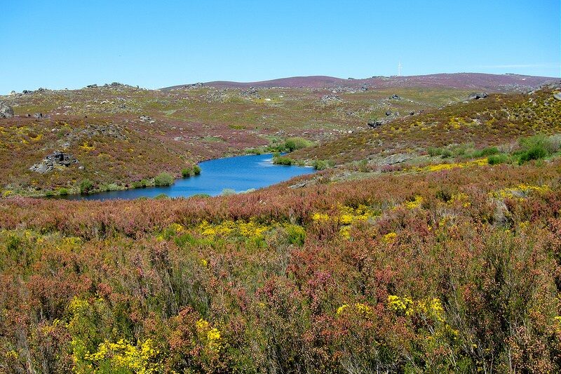 parque-natural-montesinho